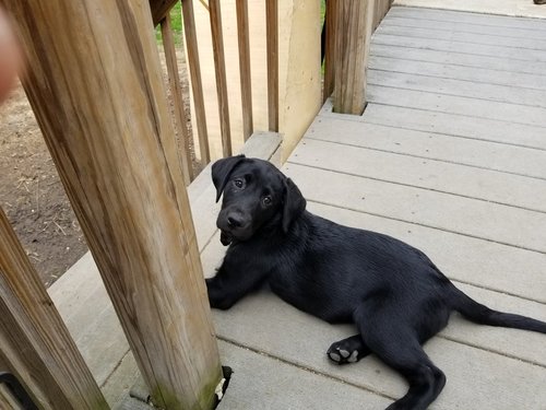 20180503_132835_resized.jpg