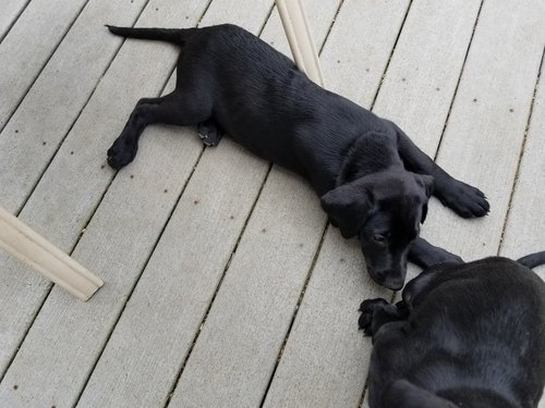 20180503_133247_resized.jpg