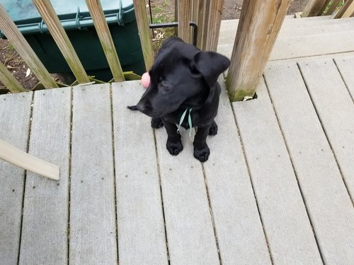 20180503_133322_resized.jpg