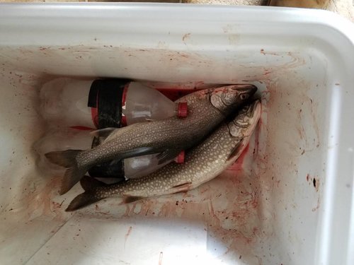 20180505_155743.jpg