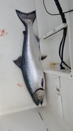 20180506_104013.thumb.jpg.d22cde841e67357ecdab6c5668755299.jpg