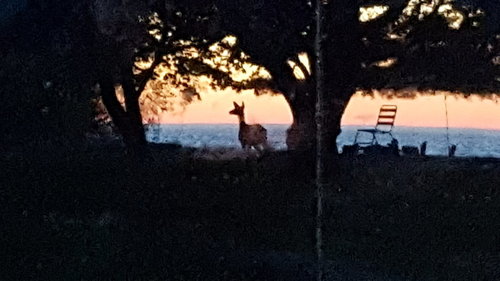20180520_205903_001.jpg