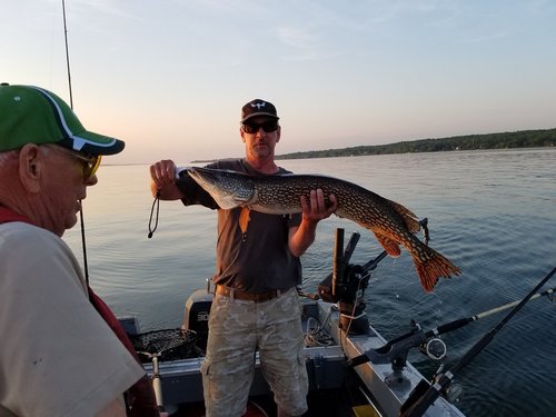 20180525_201449_001.jpg