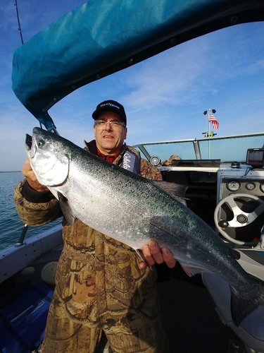 fish 4.jpg