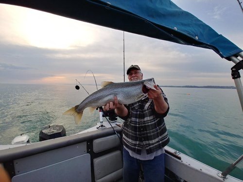 fish 6.jpg
