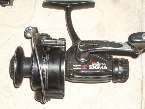 DSCN2983.JPG