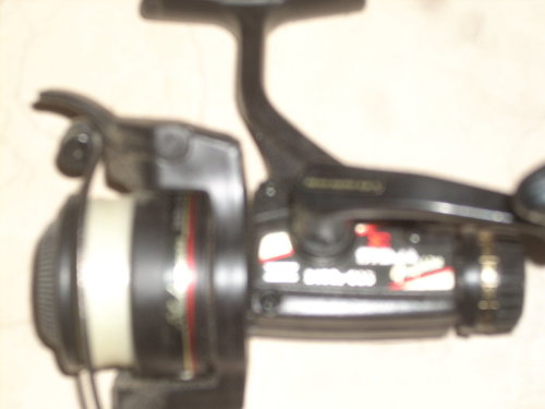 DSCN2984.JPG