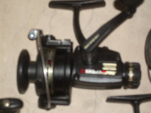 DSCN2987.JPG