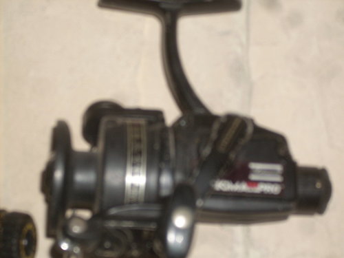 DSCN2988.JPG