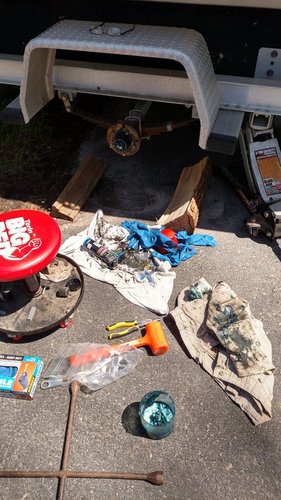 IMG_20180505_125246309_HDR.thumb.jpg.2a0f009ca2284e19f0e0e11de53bc25f.jpg