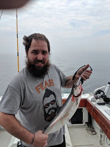 IMG_20180527_101407.jpg