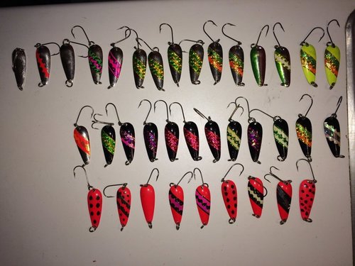IMG_2912.jpg