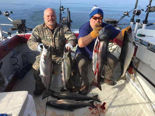 Image1526415172.144940.jpg
