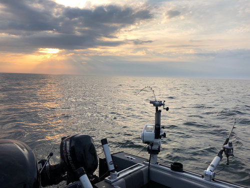Image1527385282.846172.jpg