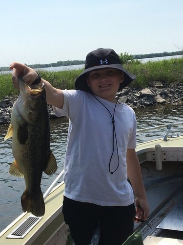 Kage-largemouth.thumb.JPG.057879da9cb65e6d503dfc582dd2f33b.JPG