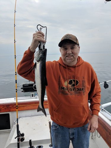 MVIMG_20180527_090728.jpg