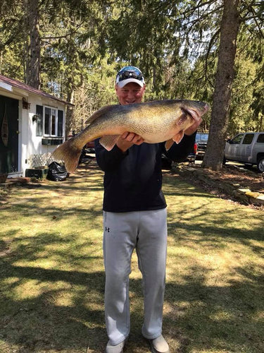 NYS_Record_walleye1.jpg