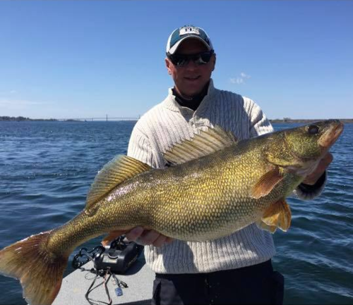 NYS_Record_walleye2.png
