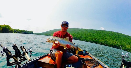 00303_imX8UnYZNK5_1200x900.thumb.jpg.f079fa5edac0e4018f3043a3a49d81e2.jpg