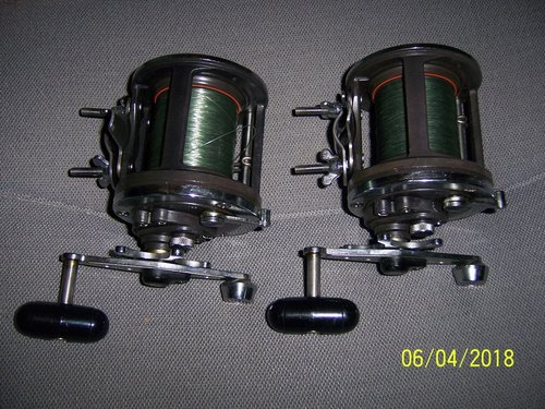 100_1169.jpg