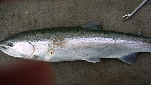 20141104_135303.jpg