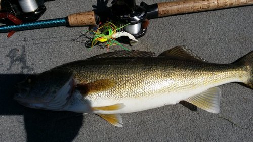 20150517_114938.jpg