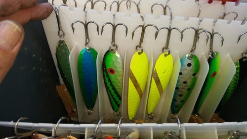 20180508_123235.jpg