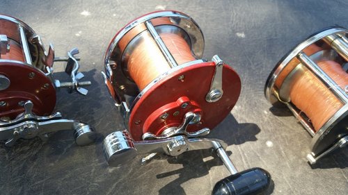 20180508_123541.jpg