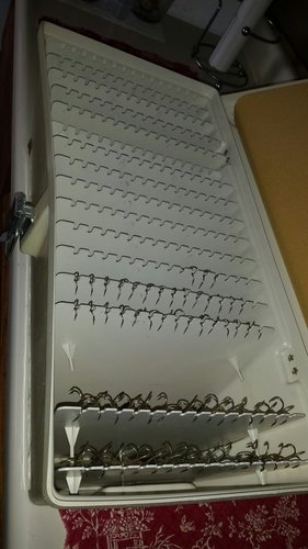 20180606_172659.jpeg