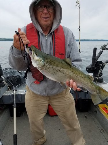 20180609_103936.jpg