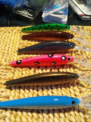 20180614_091727_Burst01.jpg