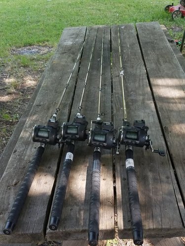 20180617_103834.jpg