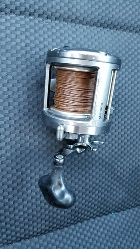 20180625_065148.jpg