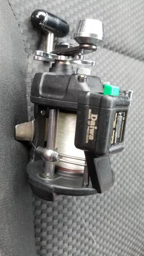 20180628_080459.jpg