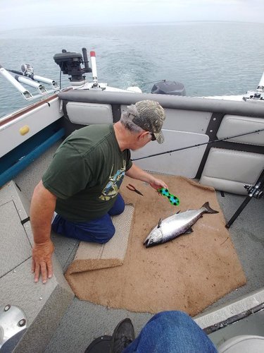 6-10-18 FISH 6.jpg