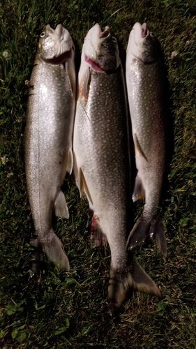 20180625_225044[1].jpg