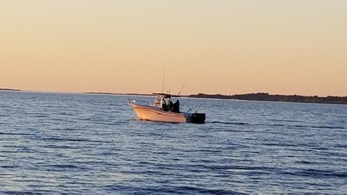 20180625_203426[1].jpg