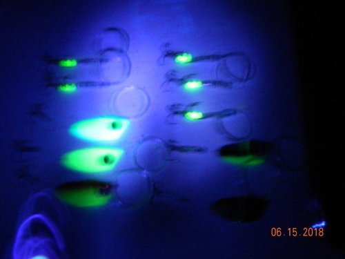 DSCN0753.JPG