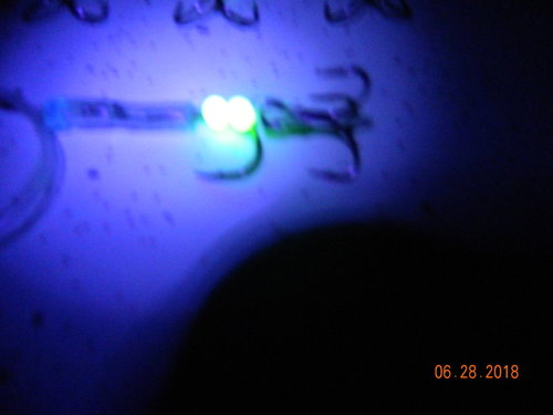 DSCN0760.JPG