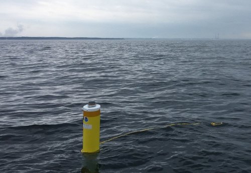 DreissenaGrowthSparBuoys.png.jpg