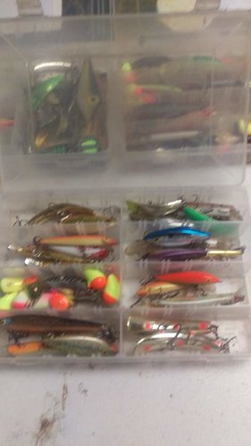 IMAG0738.jpg
