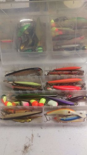 IMAG0739.jpg