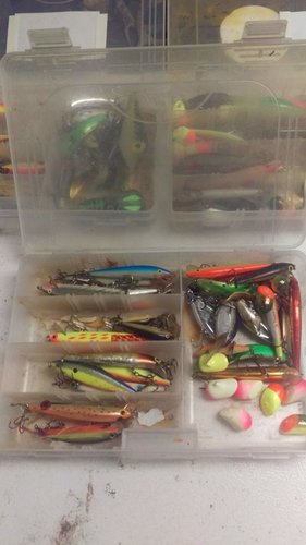 IMAG0740.jpg