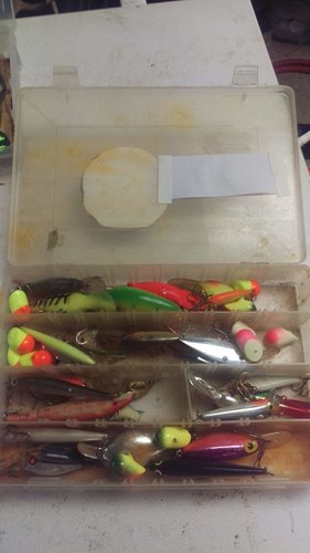 IMAG0741.jpg