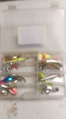 IMAG0743.jpg