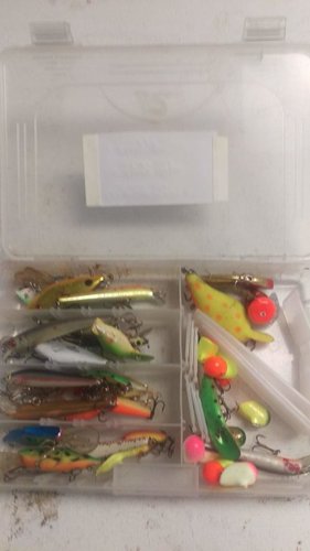 IMAG0744.jpg