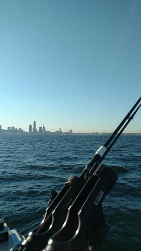 IMG_20160904_083133298.jpg