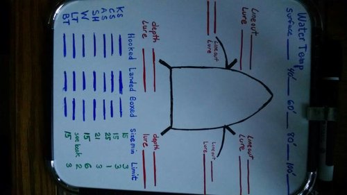IMG_20180625_201658607.jpg