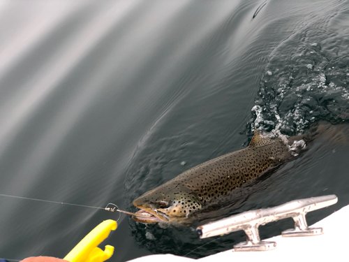 Image1529854345.331040.jpg