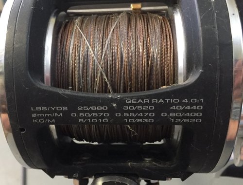 12A88B44-8D81-4796-A00D-1D6E06D64EBC.jpeg